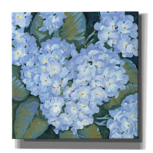 'Blue Hydrangeas II' by Tim O'Toole, Canvas Wall Art