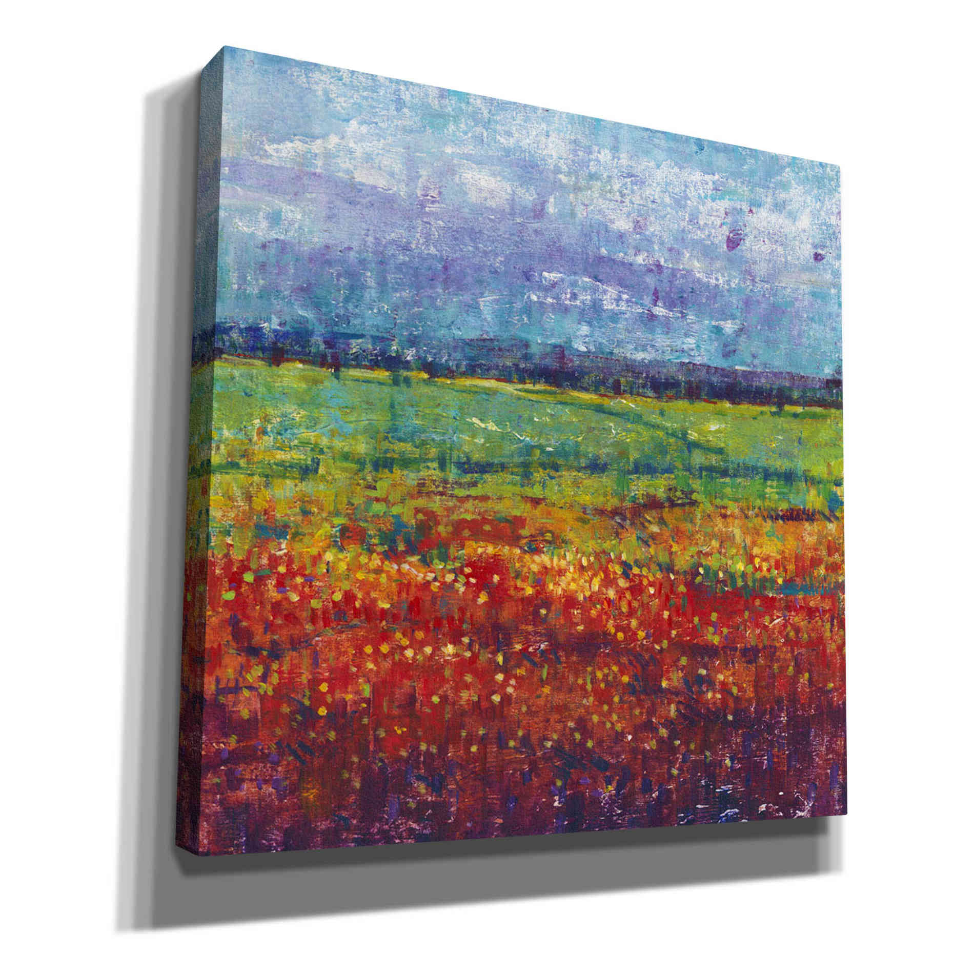 'On Summer Day I' by Tim O'Toole, Canvas Wall Art