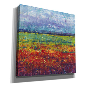 'On Summer Day I' by Tim O'Toole, Canvas Wall Art