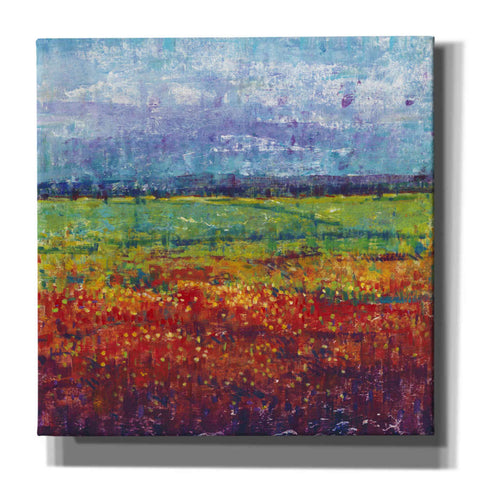 Image of 'On Summer Day I' by Tim O'Toole, Canvas Wall Art