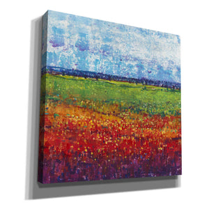 'On Summer Day II' by Tim O'Toole, Canvas Wall Art