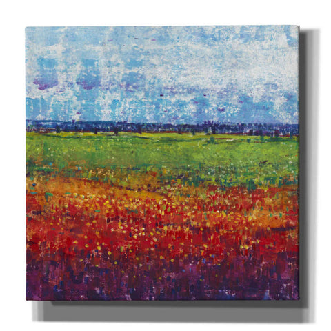 Image of 'On Summer Day II' by Tim O'Toole, Canvas Wall Art