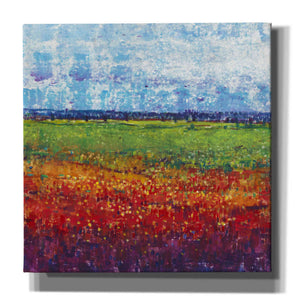 'On Summer Day II' by Tim O'Toole, Canvas Wall Art