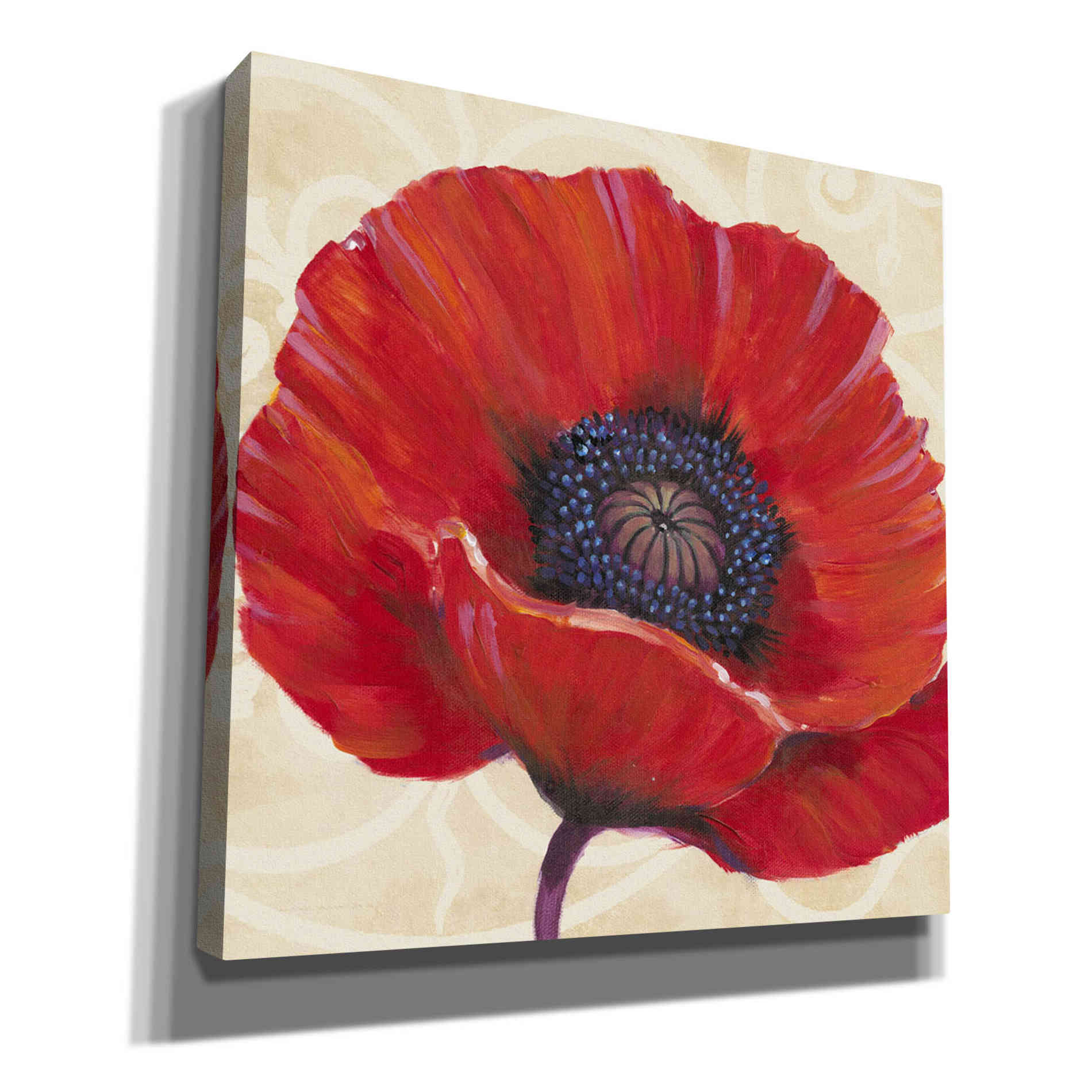 'Red Poppy I' by Tim O'Toole, Canvas Wall Art