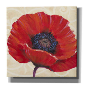 'Red Poppy I' by Tim O'Toole, Canvas Wall Art