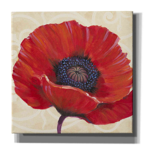Image of 'Red Poppy I' by Tim O'Toole, Canvas Wall Art
