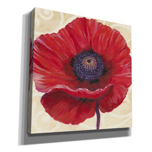 'Red Poppy II' by Tim O'Toole, Canvas Wall Art
