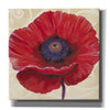 'Red Poppy II' by Tim O'Toole, Canvas Wall Art