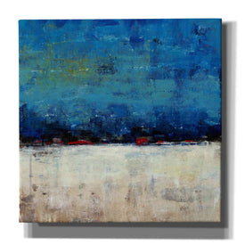 'A Touch of Red I' by Tim O'Toole, Canvas Wall Art