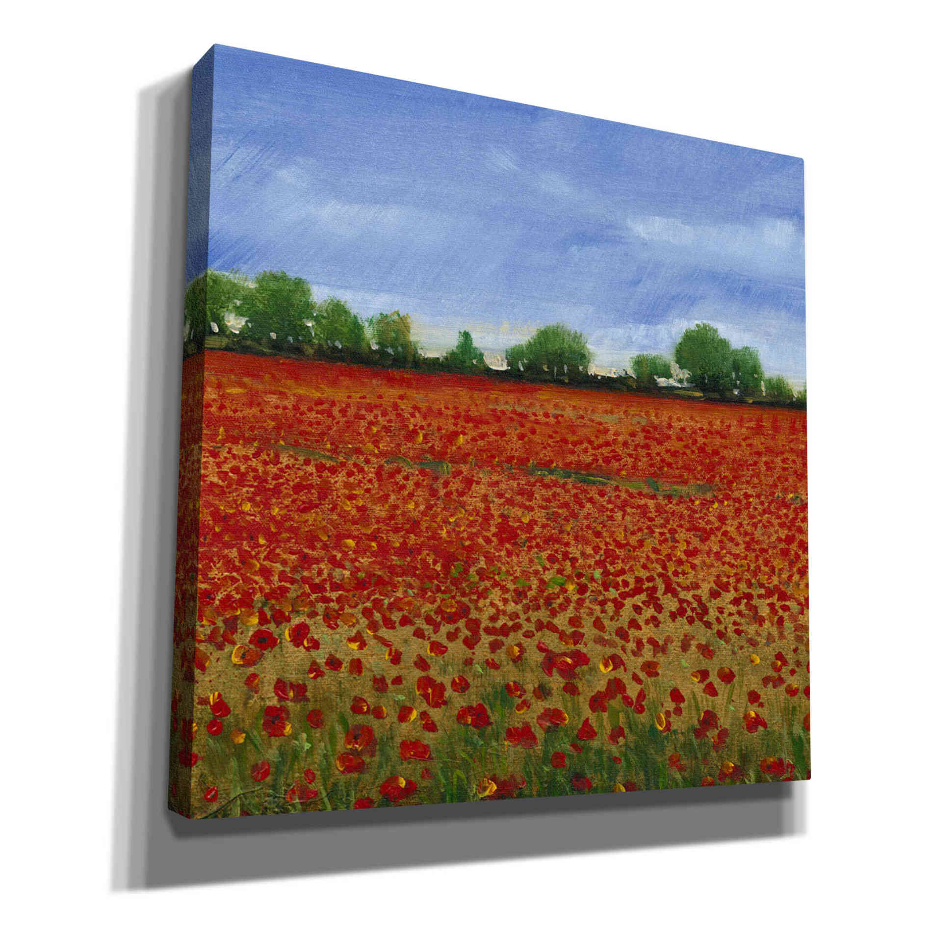 'Field of Poppies I' by Tim O'Toole, Canvas Wall Art