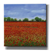 'Field of Poppies I' by Tim O'Toole, Canvas Wall Art