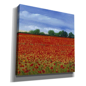 'Field of Poppies II' by Tim O'Toole, Canvas Wall Art