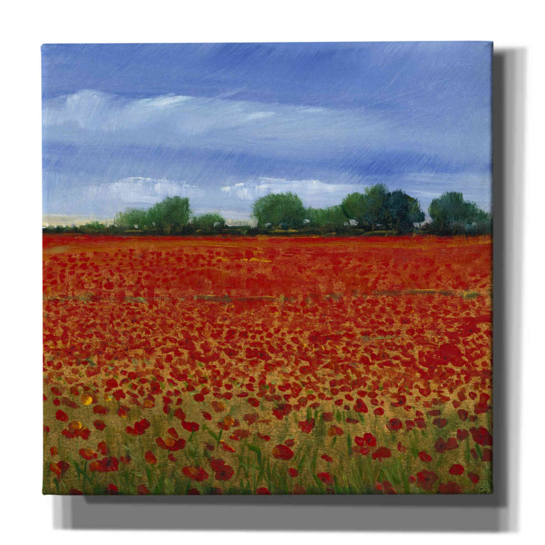'Field of Poppies II' by Tim O'Toole, Canvas Wall Art