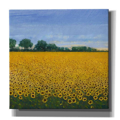 Image of 'Field of Sunflowers I' by Tim O'Toole, Canvas Wall Art