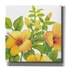 'Watercolor Hibiscus I' by Tim O'Toole, Canvas Wall Art