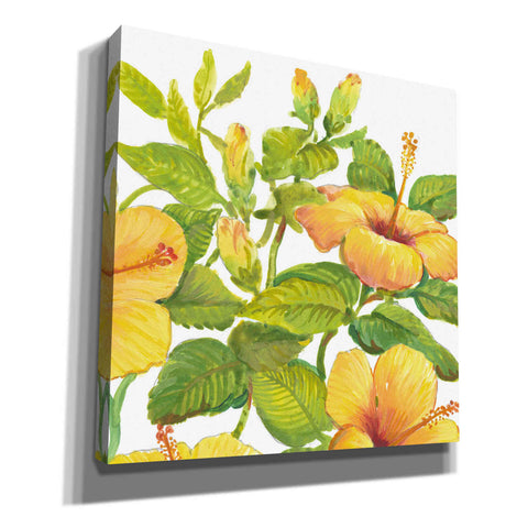 Image of 'Watercolor Hibiscus II' by Tim O'Toole, Canvas Wall Art