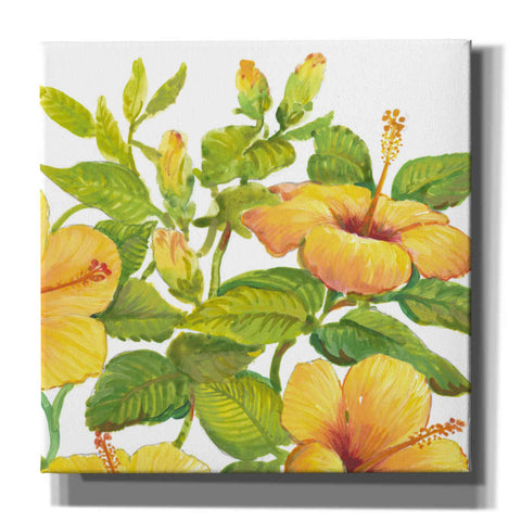 Image of 'Watercolor Hibiscus II' by Tim O'Toole, Canvas Wall Art