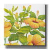 'Watercolor Hibiscus II' by Tim O'Toole, Canvas Wall Art