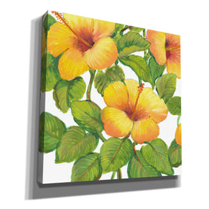 'Watercolor Hibiscus III' by Tim O'Toole, Canvas Wall Art