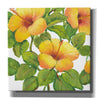 'Watercolor Hibiscus III' by Tim O'Toole, Canvas Wall Art