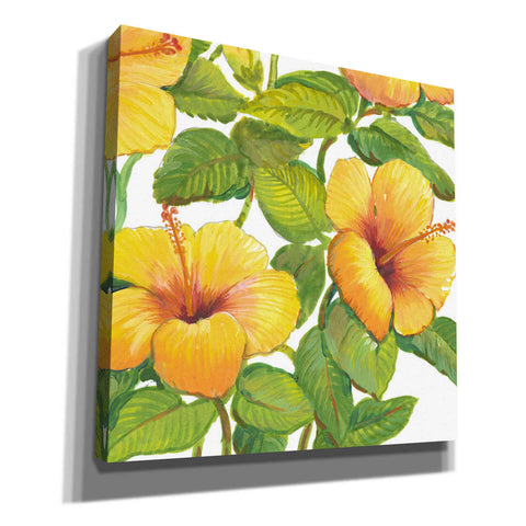 Image of 'Watercolor Hibiscus IV' by Tim O'Toole, Canvas Wall Art