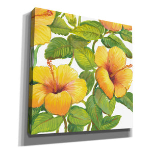 'Watercolor Hibiscus IV' by Tim O'Toole, Canvas Wall Art