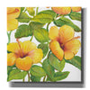 'Watercolor Hibiscus IV' by Tim O'Toole, Canvas Wall Art