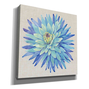 'Floral Portrait on Linen I' by Tim O'Toole, Canvas Wall Art