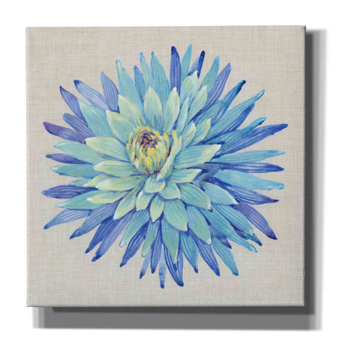 Image of 'Floral Portrait on Linen I' by Tim O'Toole, Canvas Wall Art