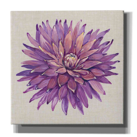 Image of 'Floral Portrait on Linen II' by Tim O'Toole, Canvas Wall Art