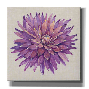 'Floral Portrait on Linen II' by Tim O'Toole, Canvas Wall Art