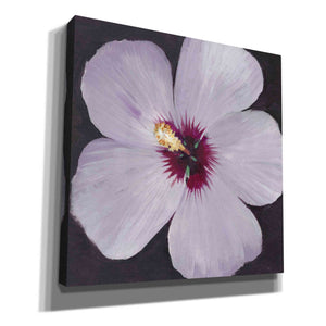 'Hibiscus Portrait I' by Tim O'Toole, Canvas Wall Art