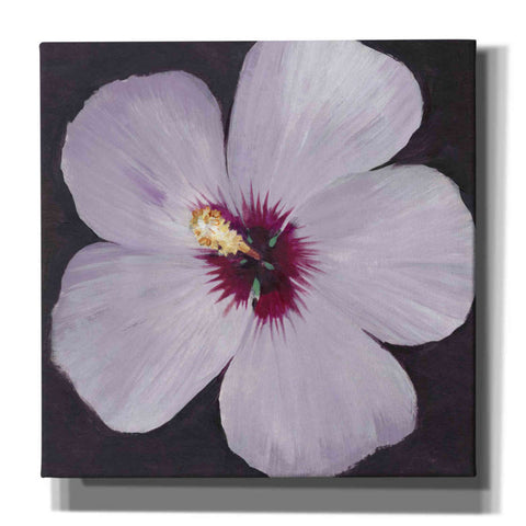Image of 'Hibiscus Portrait I' by Tim O'Toole, Canvas Wall Art
