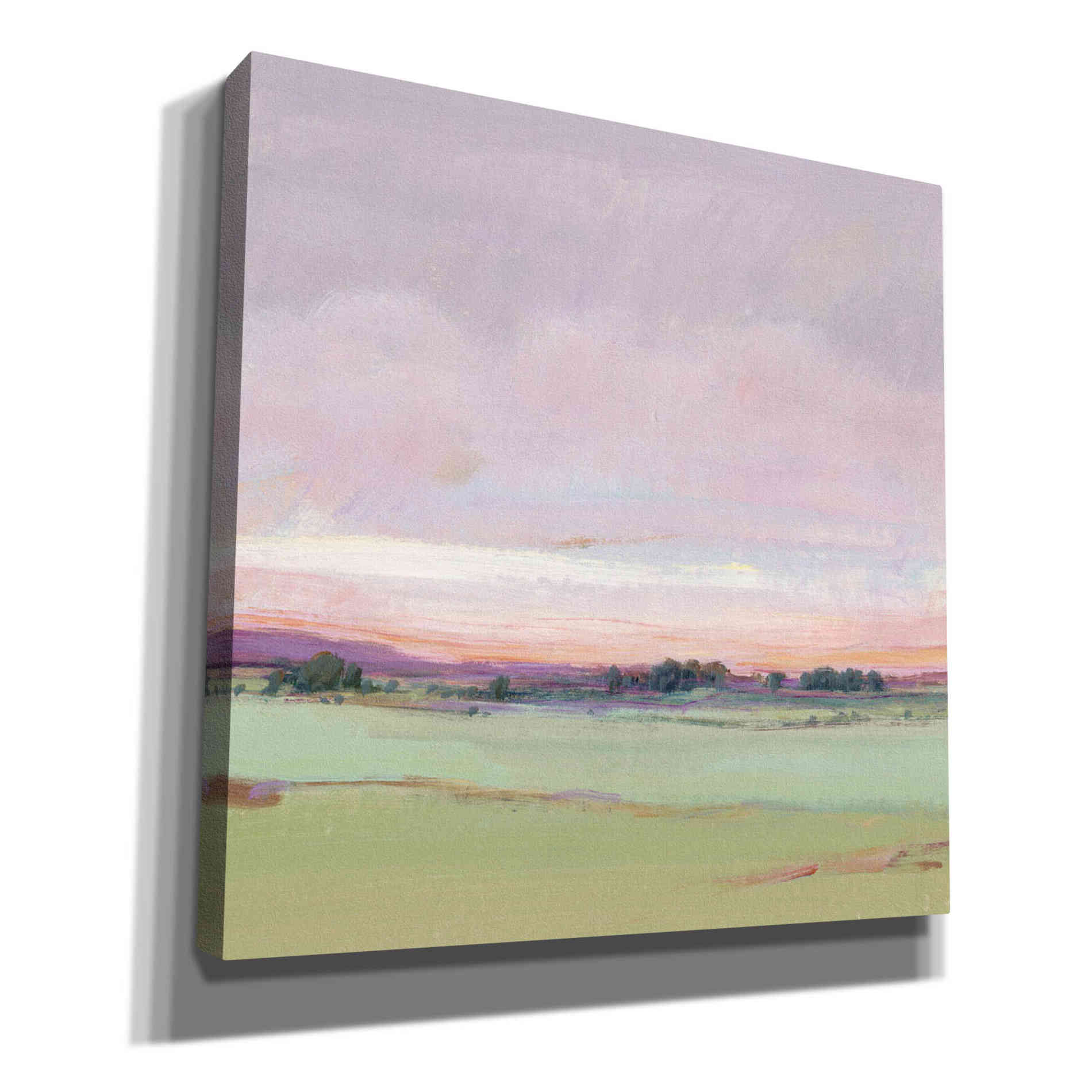'Vivid Landscape II' by Tim O'Toole, Canvas Wall Art