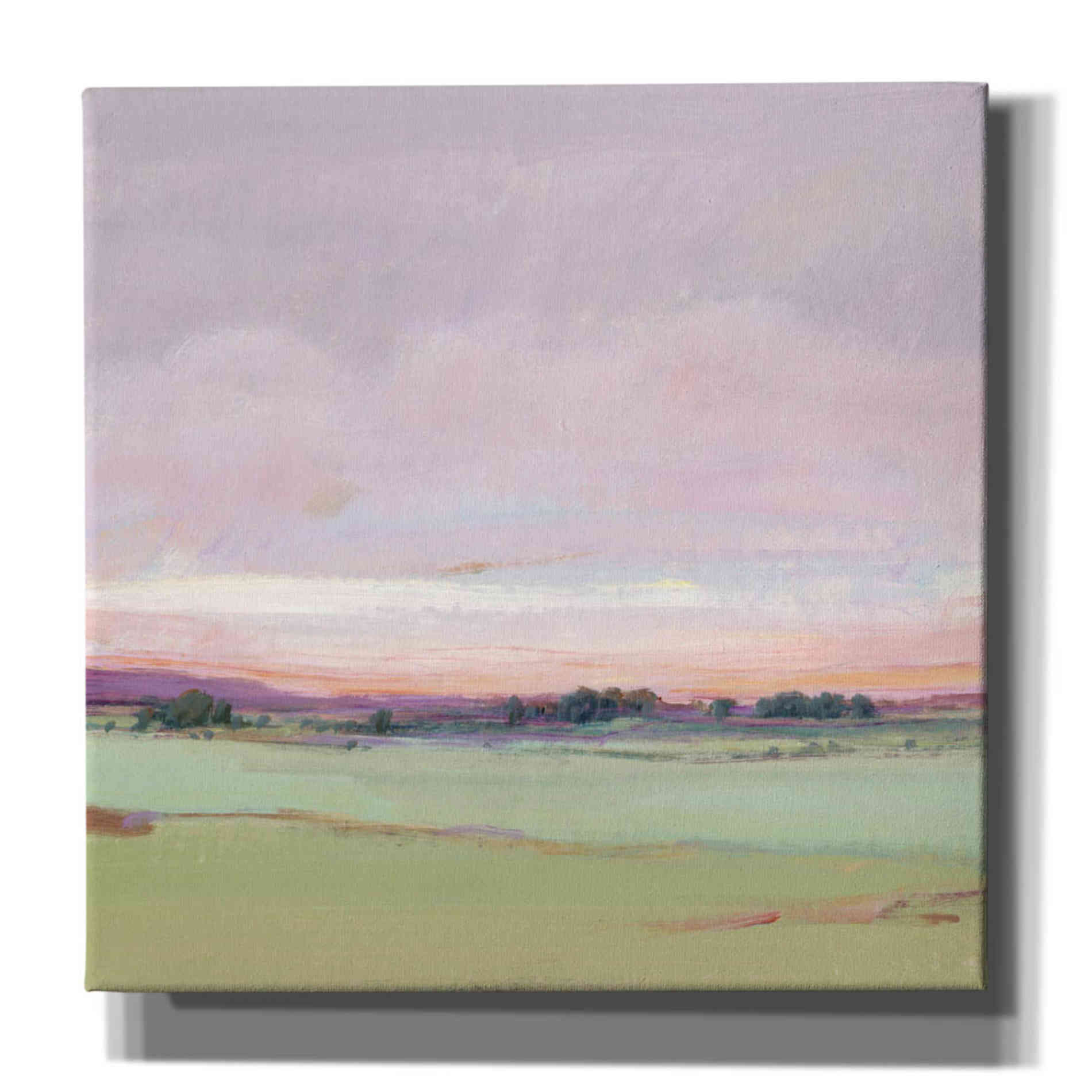 'Vivid Landscape II' by Tim O'Toole, Canvas Wall Art