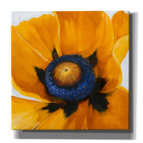 Image of 'Close-Up I' by Tim O'Toole, Canvas Wall Art