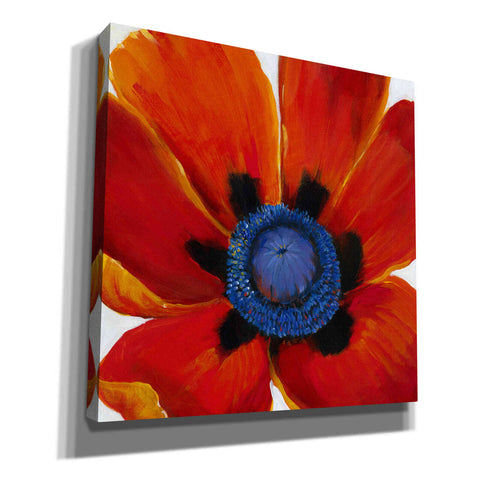 Image of 'Close-Up II' by Tim O'Toole, Canvas Wall Art