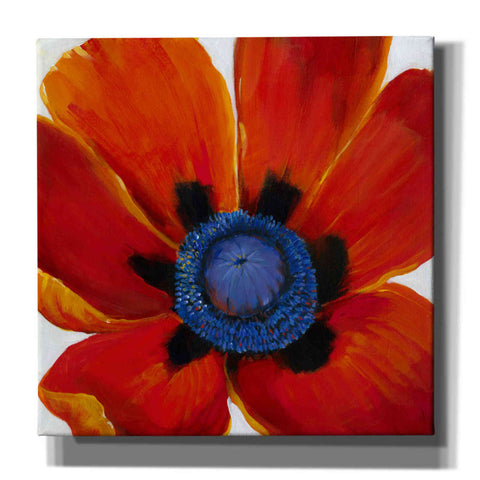 Image of 'Close-Up II' by Tim O'Toole, Canvas Wall Art