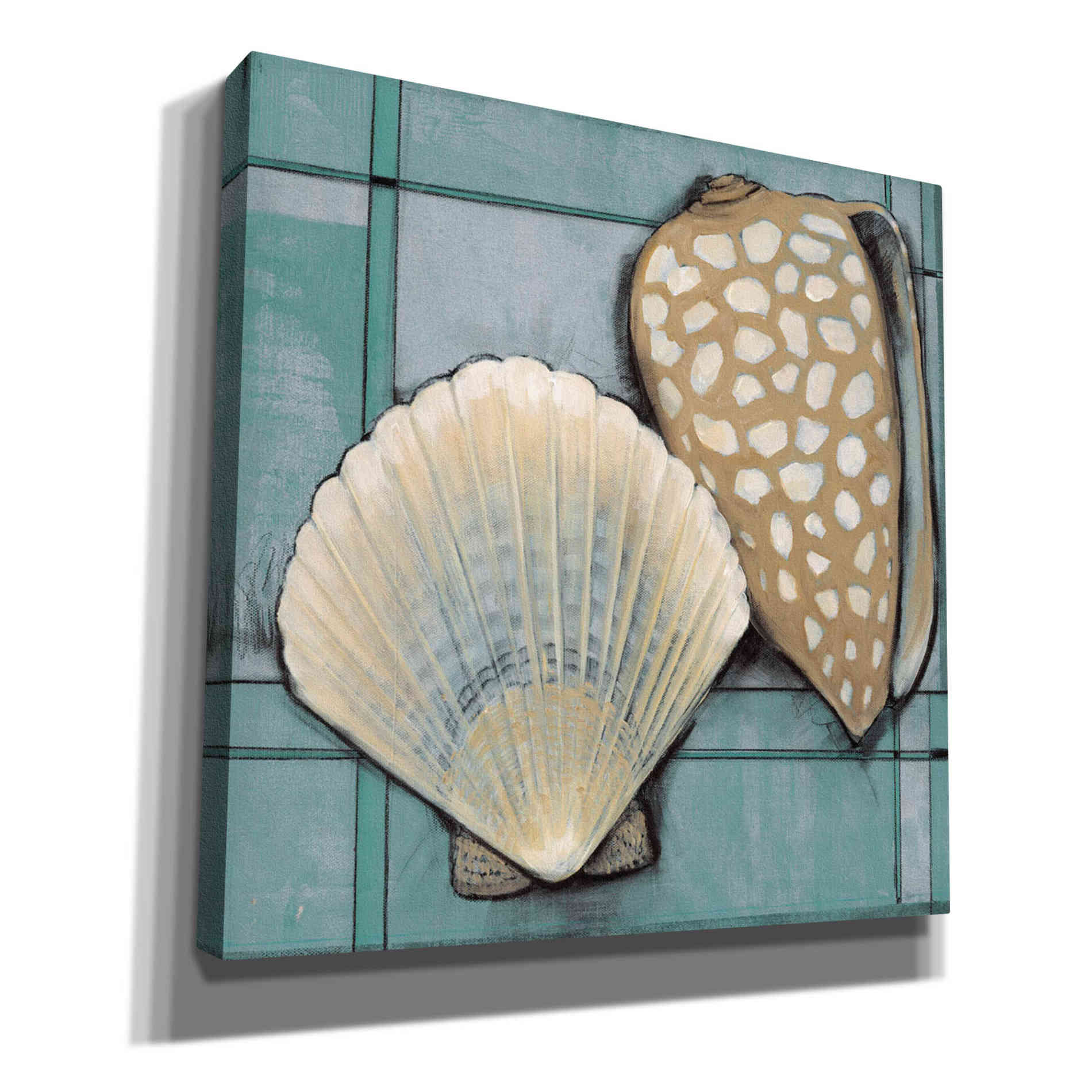 'Seashell Sketch I' by Tim O'Toole, Canvas Wall Art