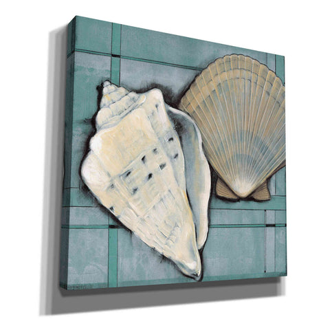 Image of 'Seashell Sketch II' by Tim O'Toole, Canvas Wall Art