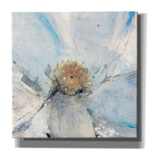 'Custom Floral Blue II' by Tim O'Toole, Canvas Wall Art