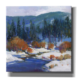 'Mountain Creek I' by Tim O'Toole, Canvas Wall Art
