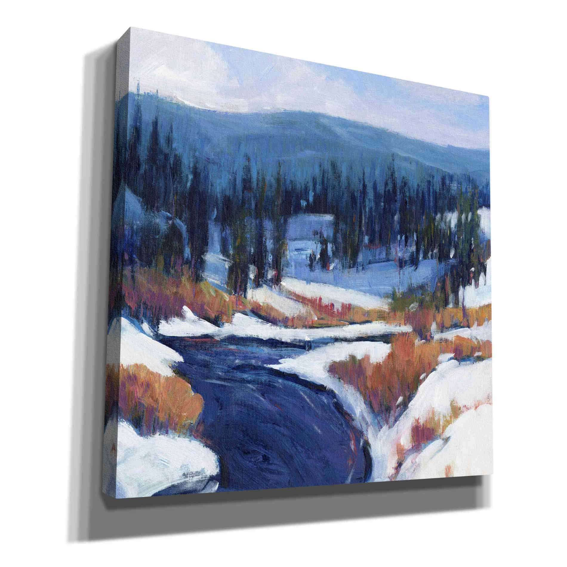 'Mountain Creek II' by Tim O'Toole, Canvas Wall Art