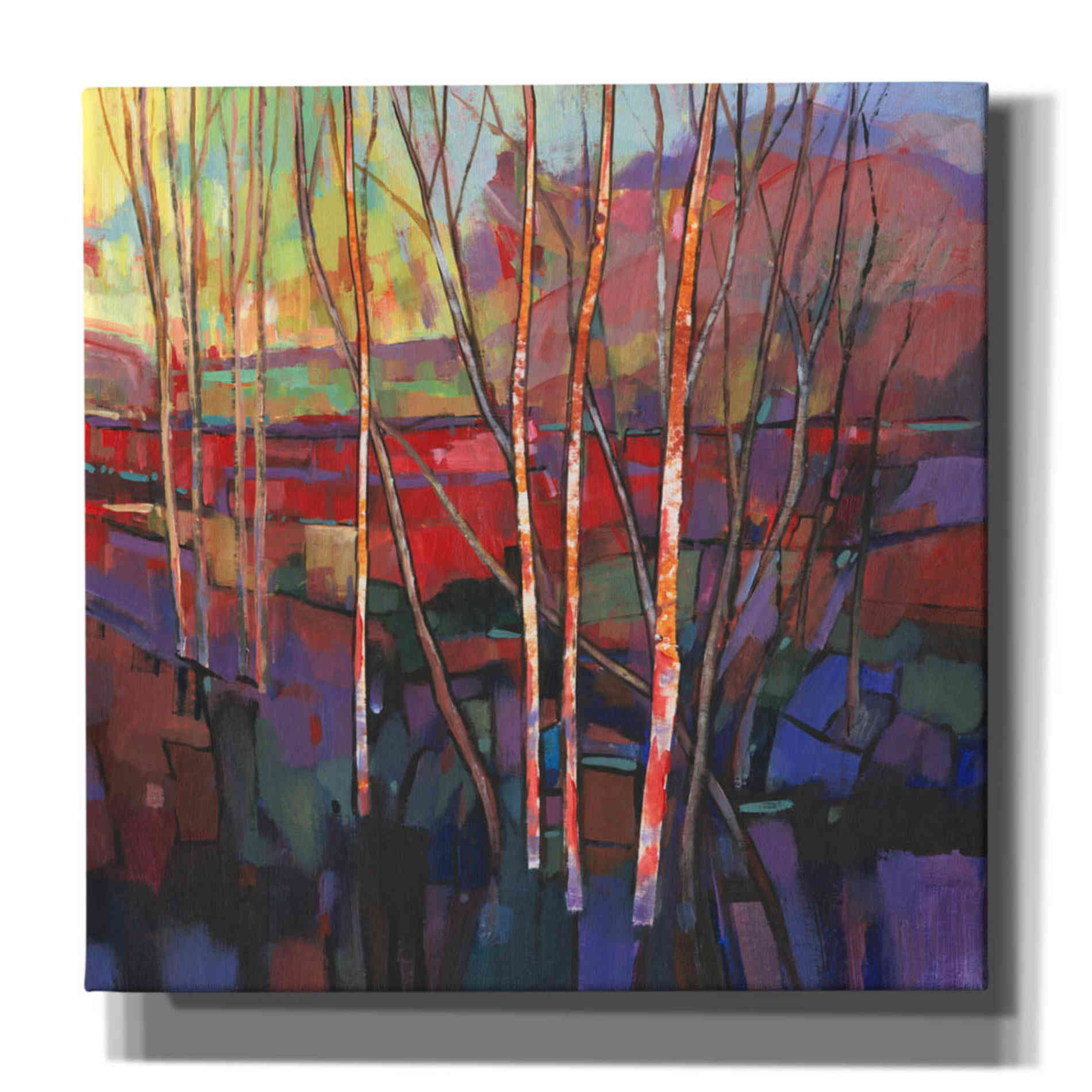 'Patchwork Trees I' by Tim O'Toole, Canvas Wall Art
