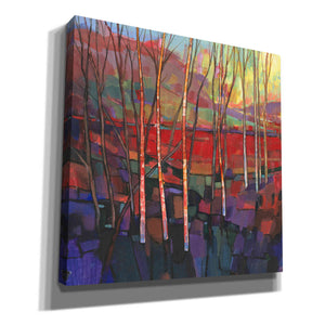 'Patchwork Trees II' by Tim O'Toole, Canvas Wall Art
