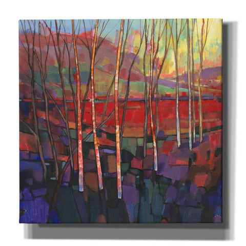 Image of 'Patchwork Trees II' by Tim O'Toole, Canvas Wall Art