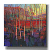 'Patchwork Trees II' by Tim O'Toole, Canvas Wall Art