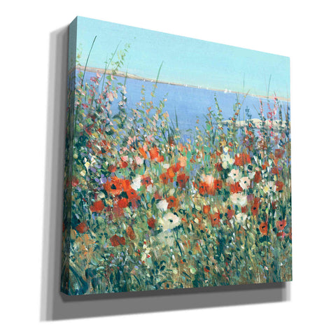 Image of 'Seaside Garden I' by Tim O'Toole, Canvas Wall Art