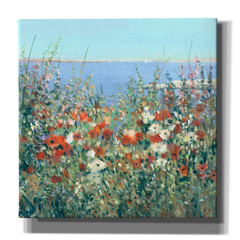 Image of 'Seaside Garden I' by Tim O'Toole, Canvas Wall Art
