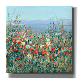 'Seaside Garden II' by Tim O'Toole, Canvas Wall Art